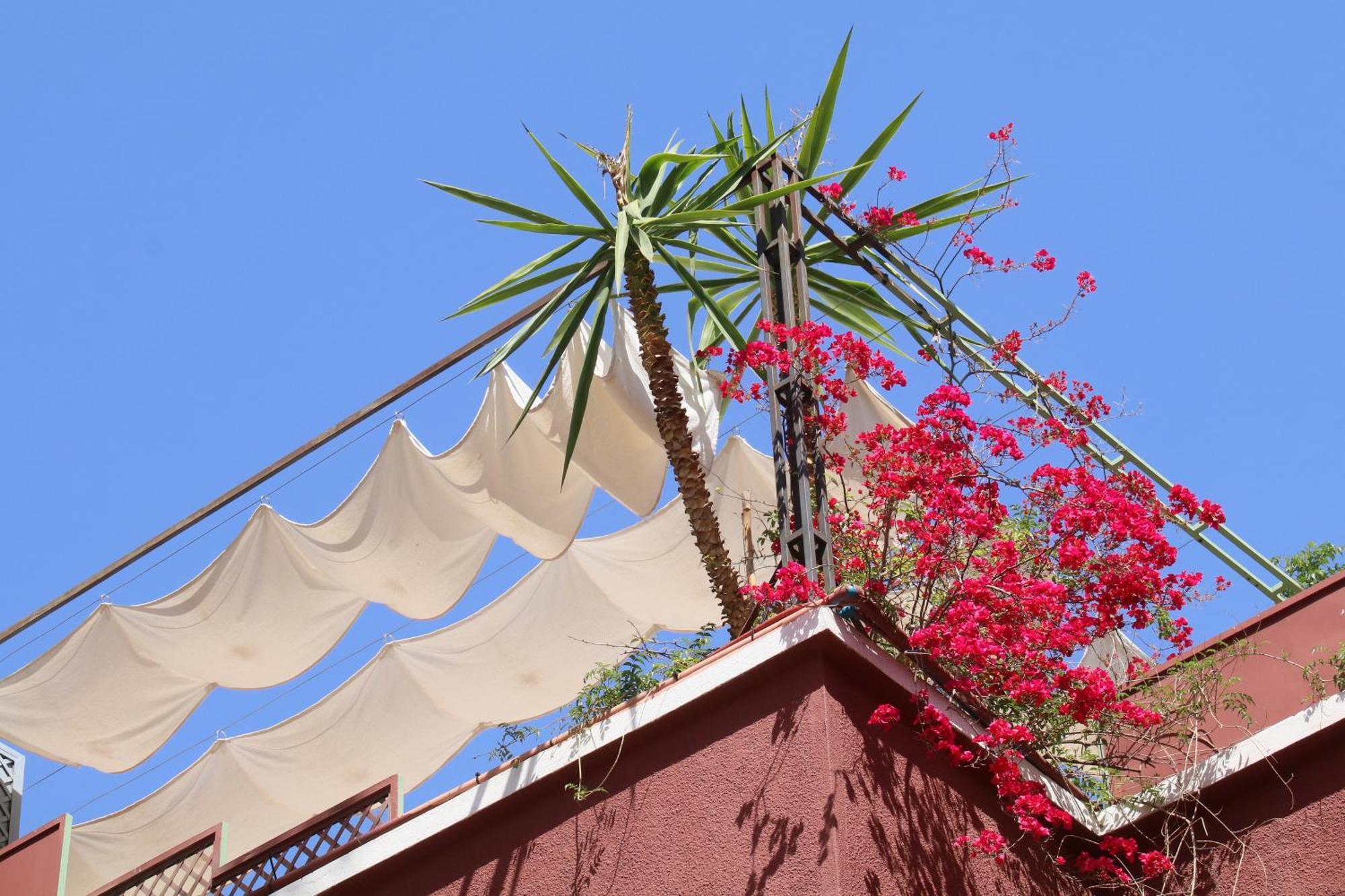 Riad Celia Marrakesh Exterior foto